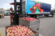 A picture of large crates of apples beside a semi-truck with a picture of fruit on it that says, "Good Happens Here!"