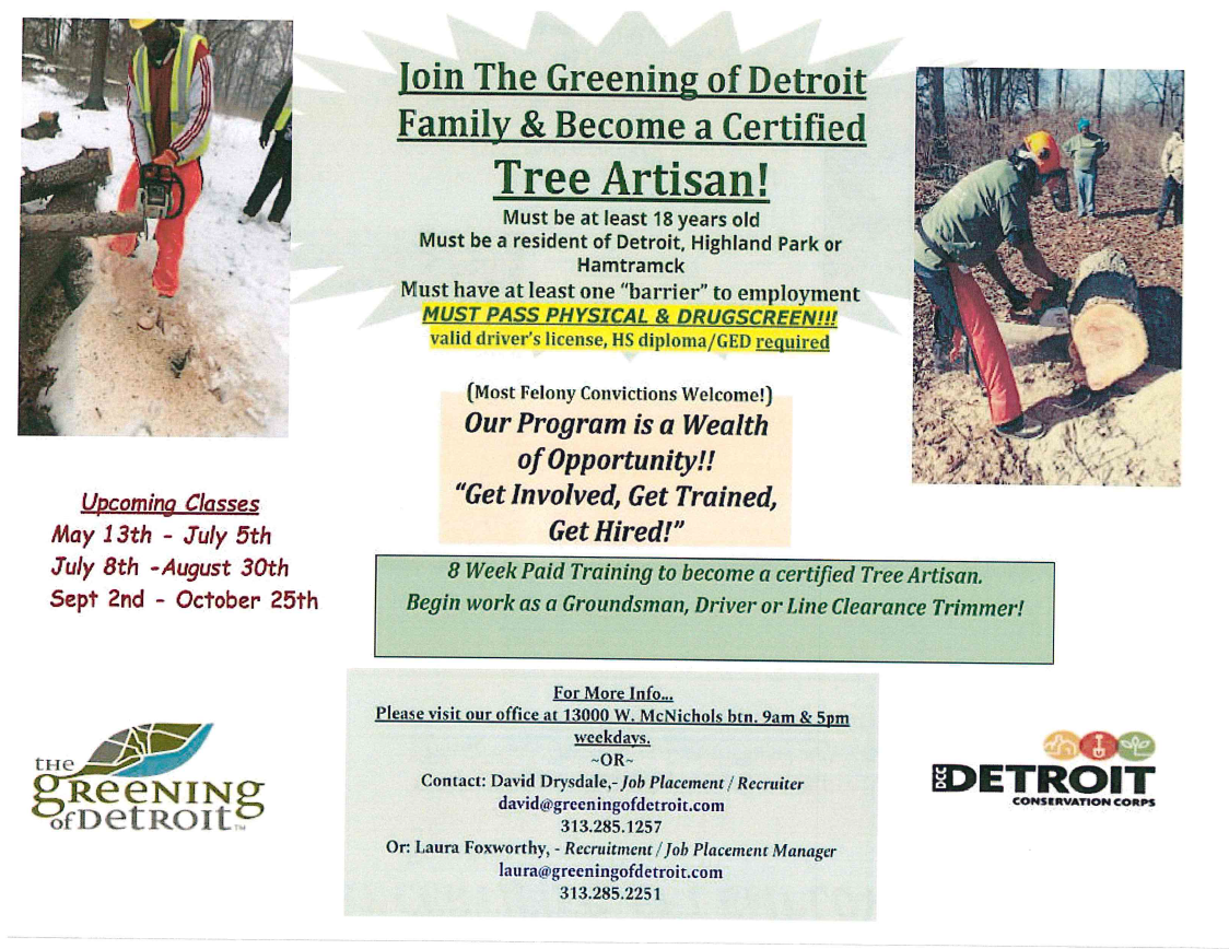 Greening of Detroit