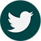 Twitter Logo