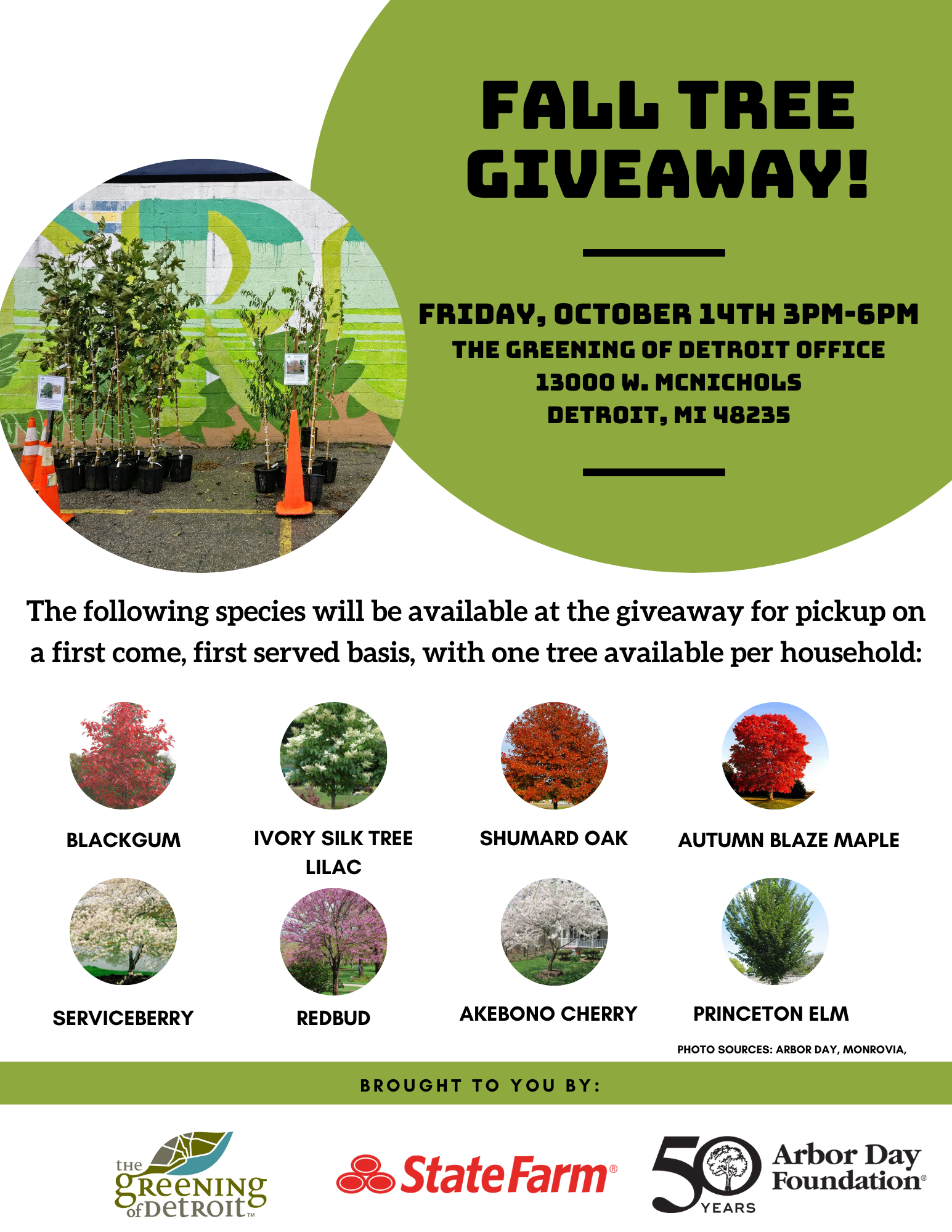 Fall Tree Giveaway Friday, October 14th from 3pm