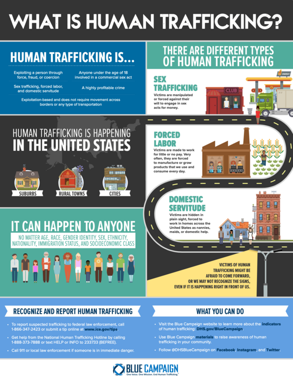 Stop Human Trafficking Infographic