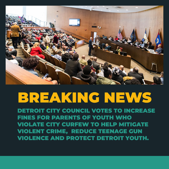 Council Teen Violence event