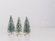 Decorative trees with snow