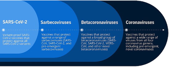 A tiered approach to developing broadly protective coronavirus vaccines.