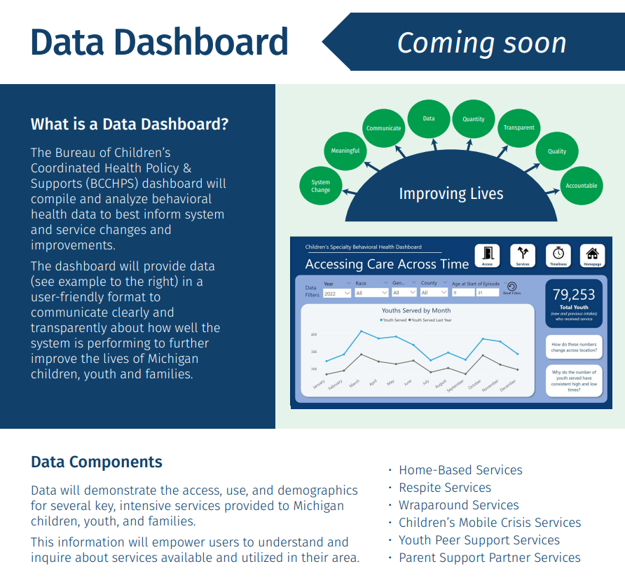 Data Dashboard Visual