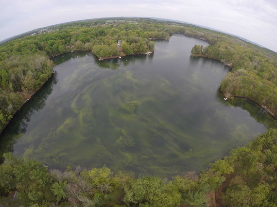 Aerial-view-of-a-Harmful-Algal-Bloom-in-a-Michigan-lake