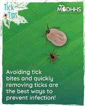 Tick Tips