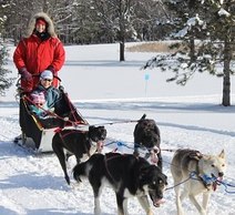 dog sled ride