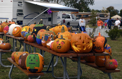 Painted pumpkins on a picnic table