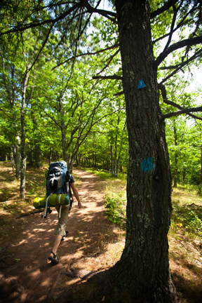 Hiker on Trail