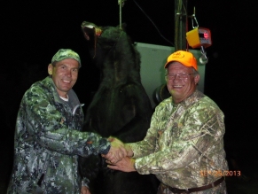 PMH winner Gittins bear