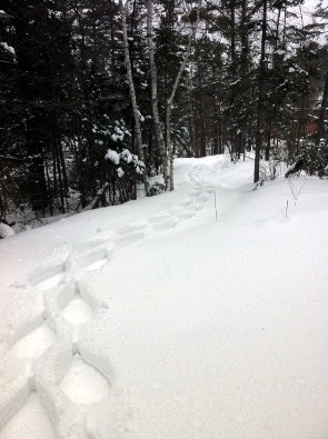 Enjoy an interpretive snowshoe hike of the Carp River Forge Historic Site on the grounds of the Michigan Iron Industry Museum on Saturday, Feb. 1.