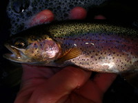 Beatons Lake - a Gogebic County Hidden Gem
