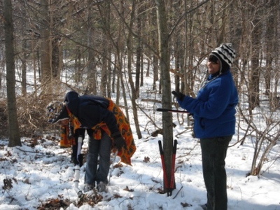 Volunteers removing invasive species