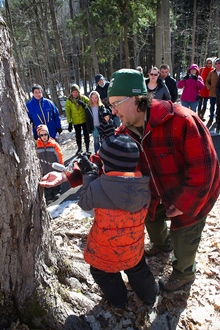 man and boy tapping a tree for maple syrup