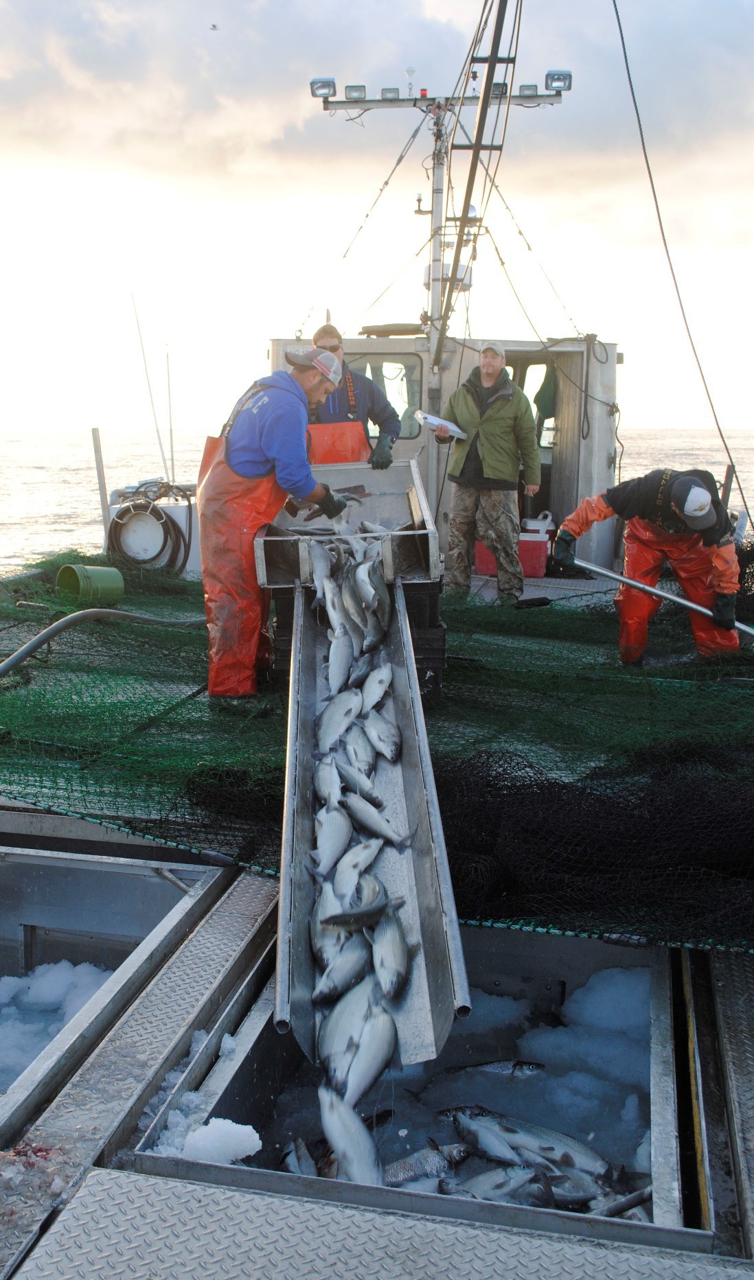 som-thumb-area-lake-huron-commercial-fishing-experiment-may-reduce-pressure-on-saginaw-bay