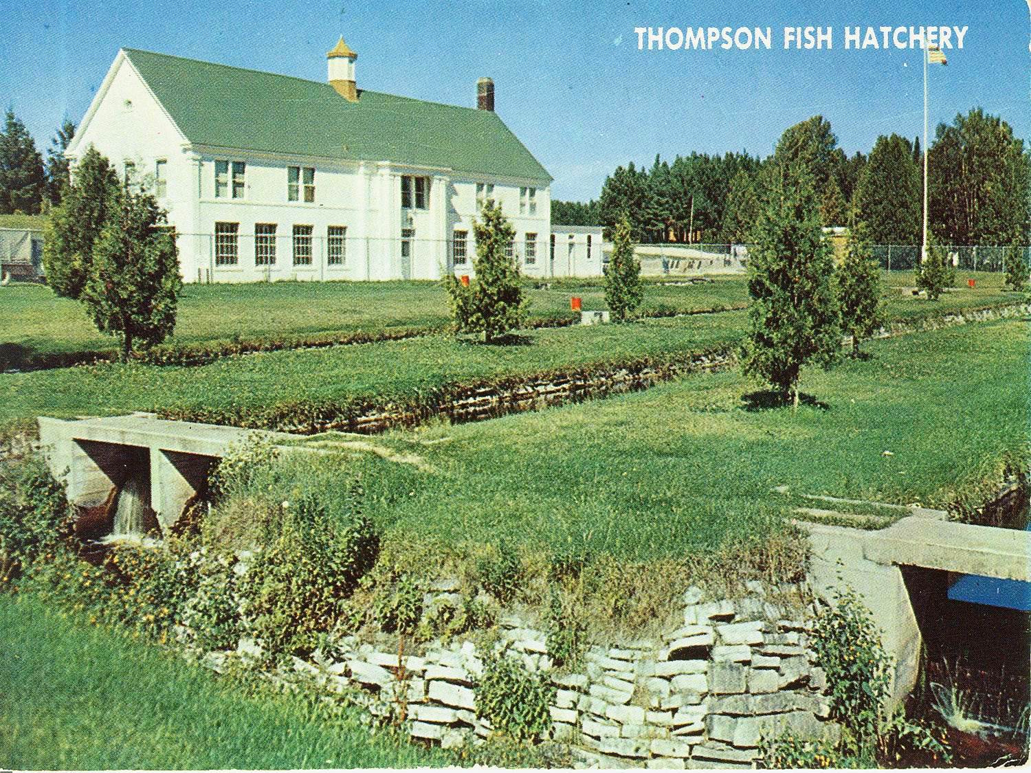 A colorful postcard, circa 1950, shows the former Thompson State Fish Hatchery west of Manistique.