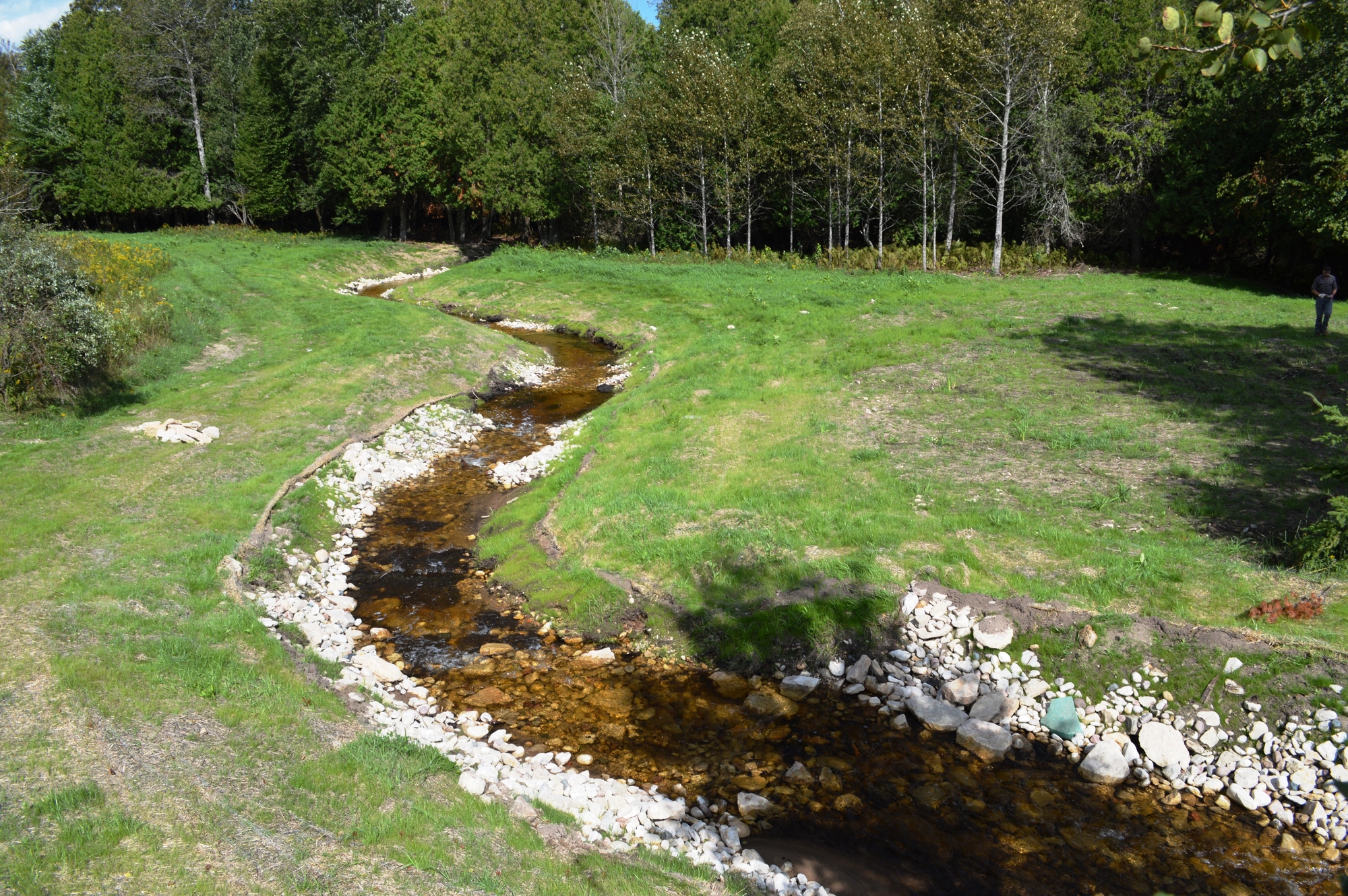 The reconstructed Williams Creek channel winds through a grassy field. Salmon and steelhead have returned to the creek for the first time in decades.