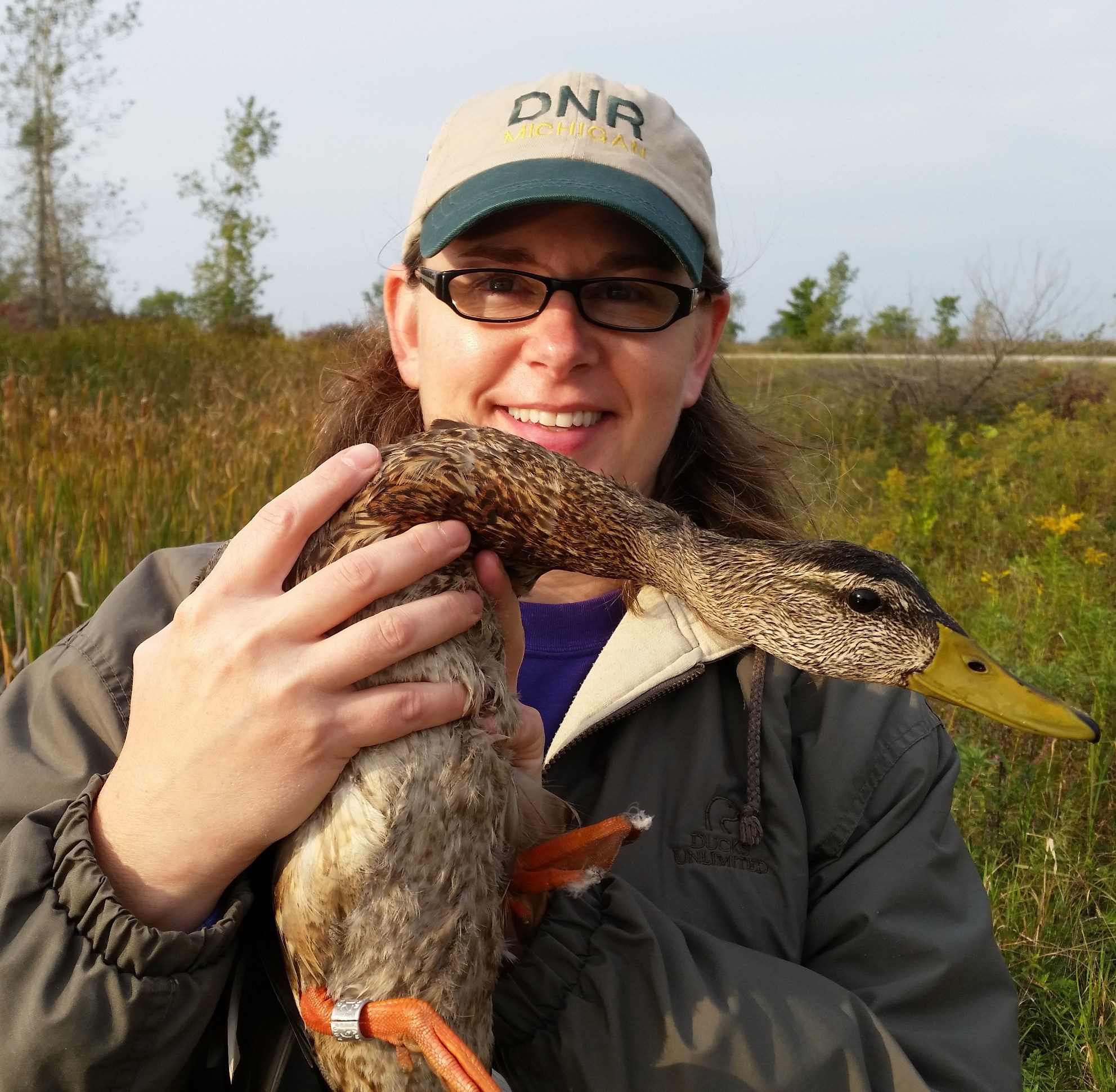 Michigan Department of Natural Resources waterfowl and wetlands specialist, Barb Avers holds a female duck up to the camera in this outdoor photo.
