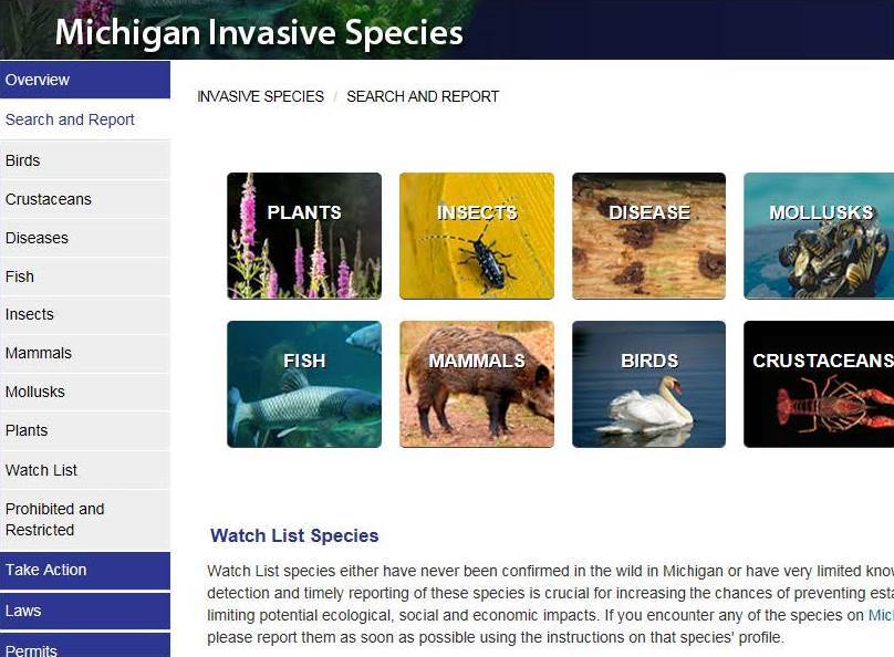 A computer screen shot shows feature species on the state's new invasive species website.