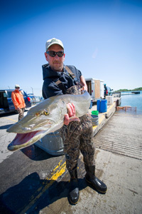 DNR employee holding up muskellunge