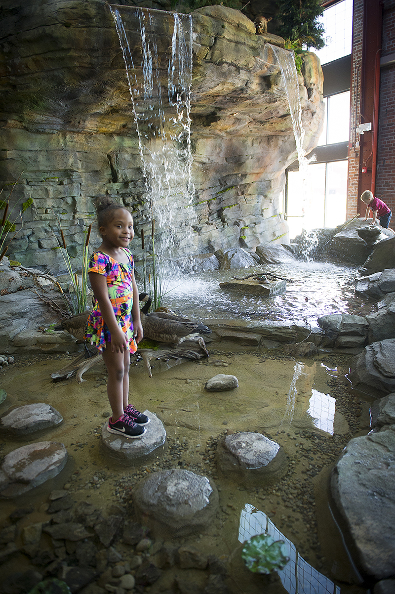 Visitors to the DNR's Outdoor Adventure Center can walk behind and touch a waterfall with a 36-foot drop, and walk on stones across a pond.