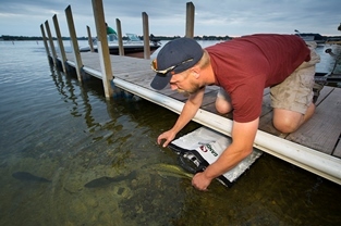 man kneeling on dock, releasing bass into water
