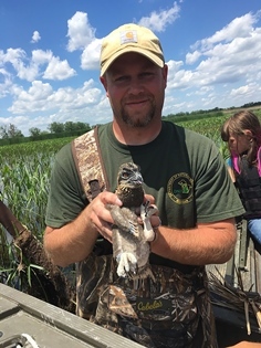 DNR biologist holding osprey chick