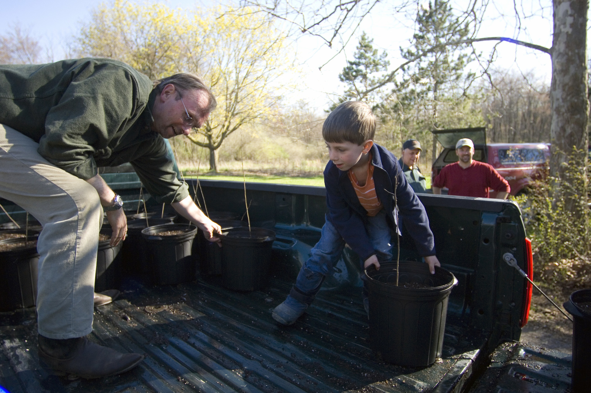 In a turkey habitat improvement project aided by volunteers from the Wild Turkey Federation, crabapple trees are repotted at Rose Lake.