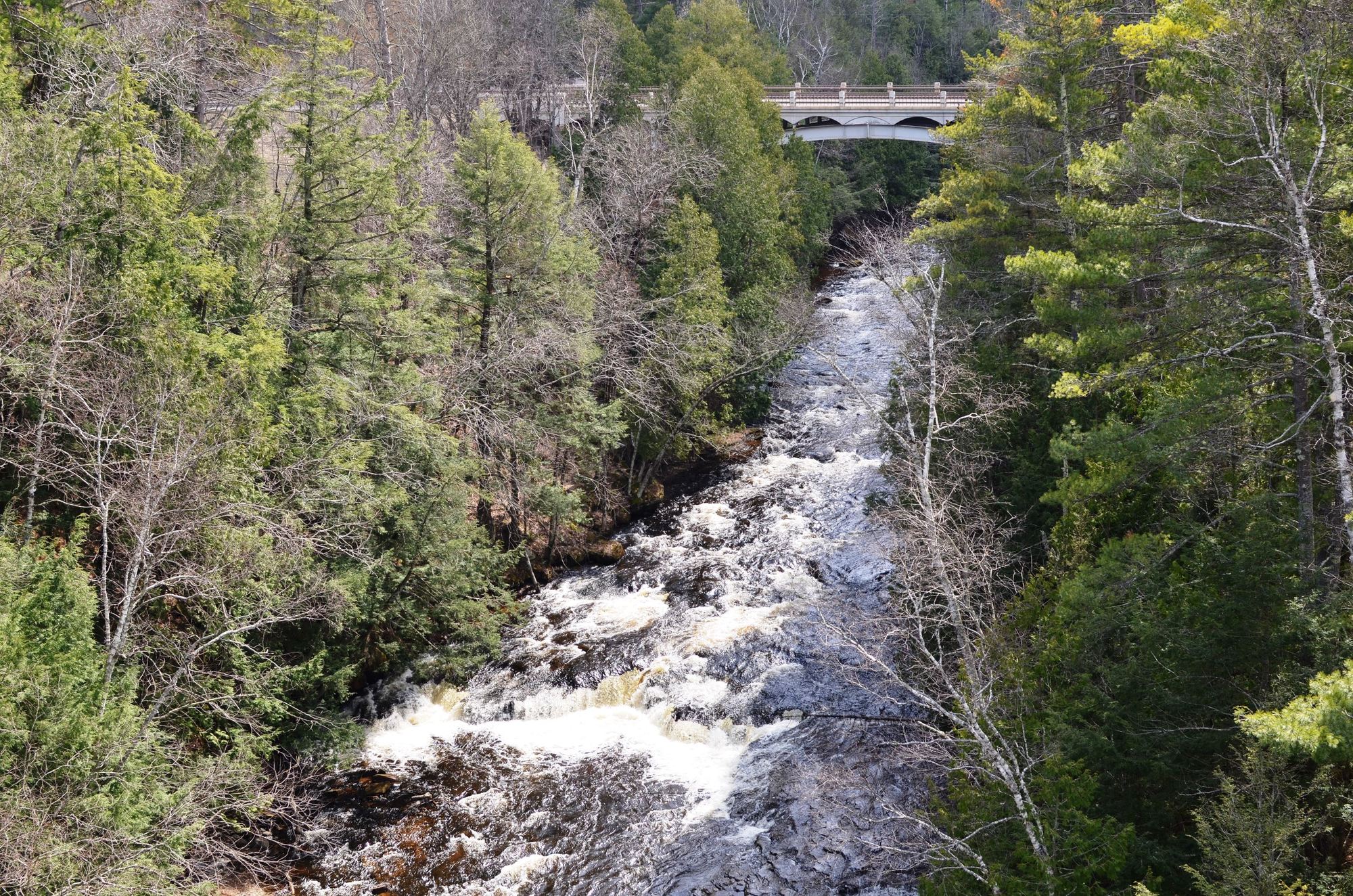 The Middle Branch of the Ontonagon River tumbles north toward Agate Falls in Ontonagon County.