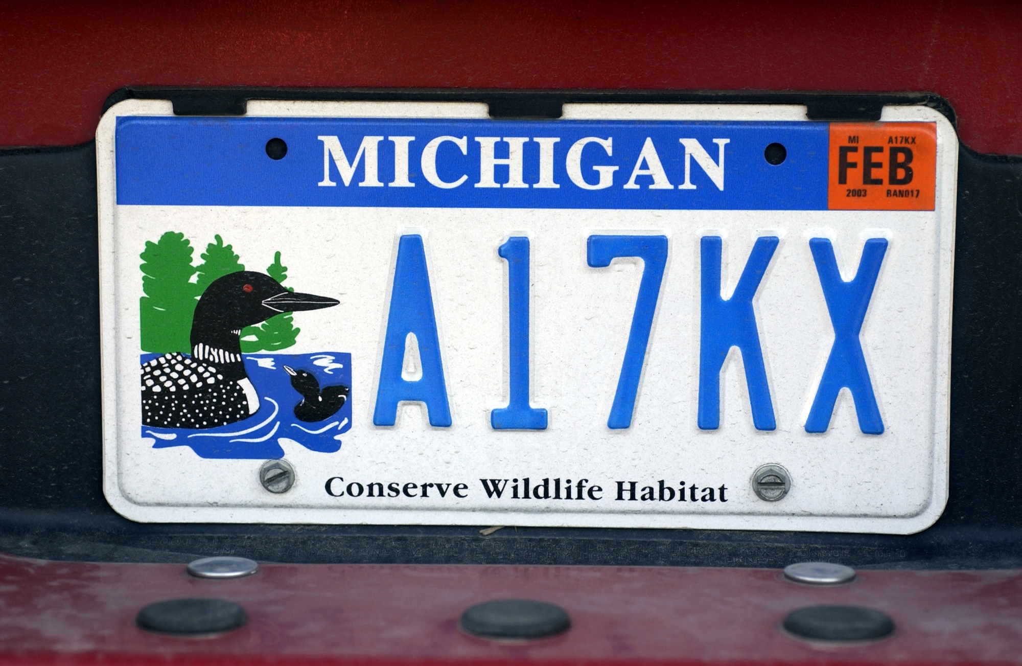 The sale of the wildlife habitat specialty license plate supports critical projects to conserve Michigan’s nongame wildlife species.