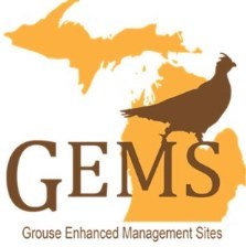 GEMS logo
