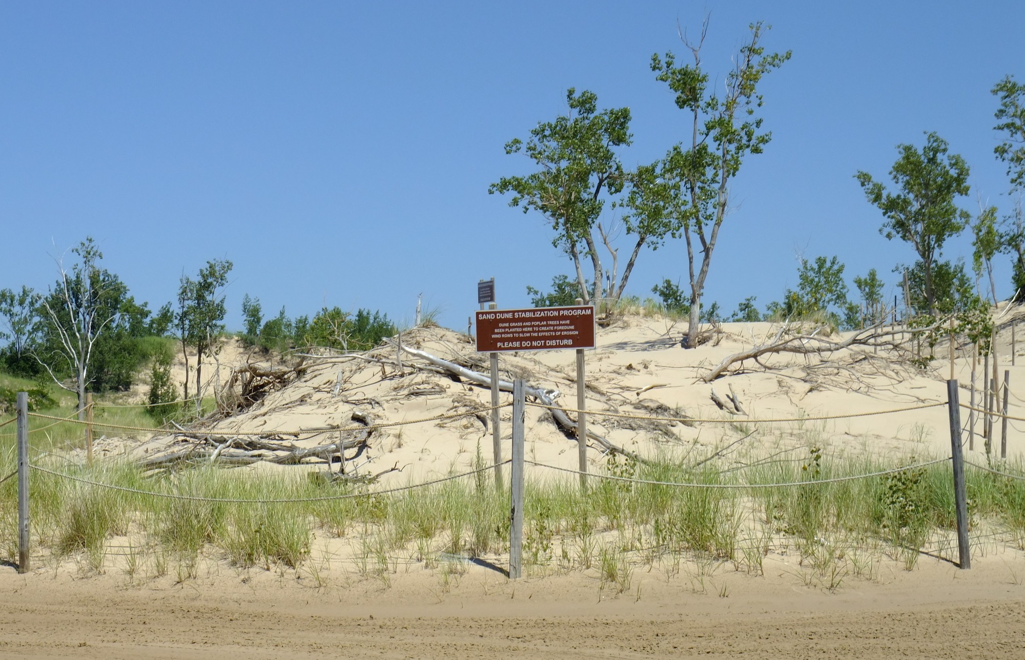 A dune restoration project at Silver Lake State Park in Oceana County was among more than a dozen off-road vehicle-related improvements made recently.