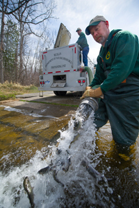 DNR employees stocking fish from truck into water