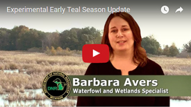 early teal season video - thumbnail