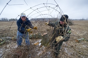 Two men removing a fence row outdoors