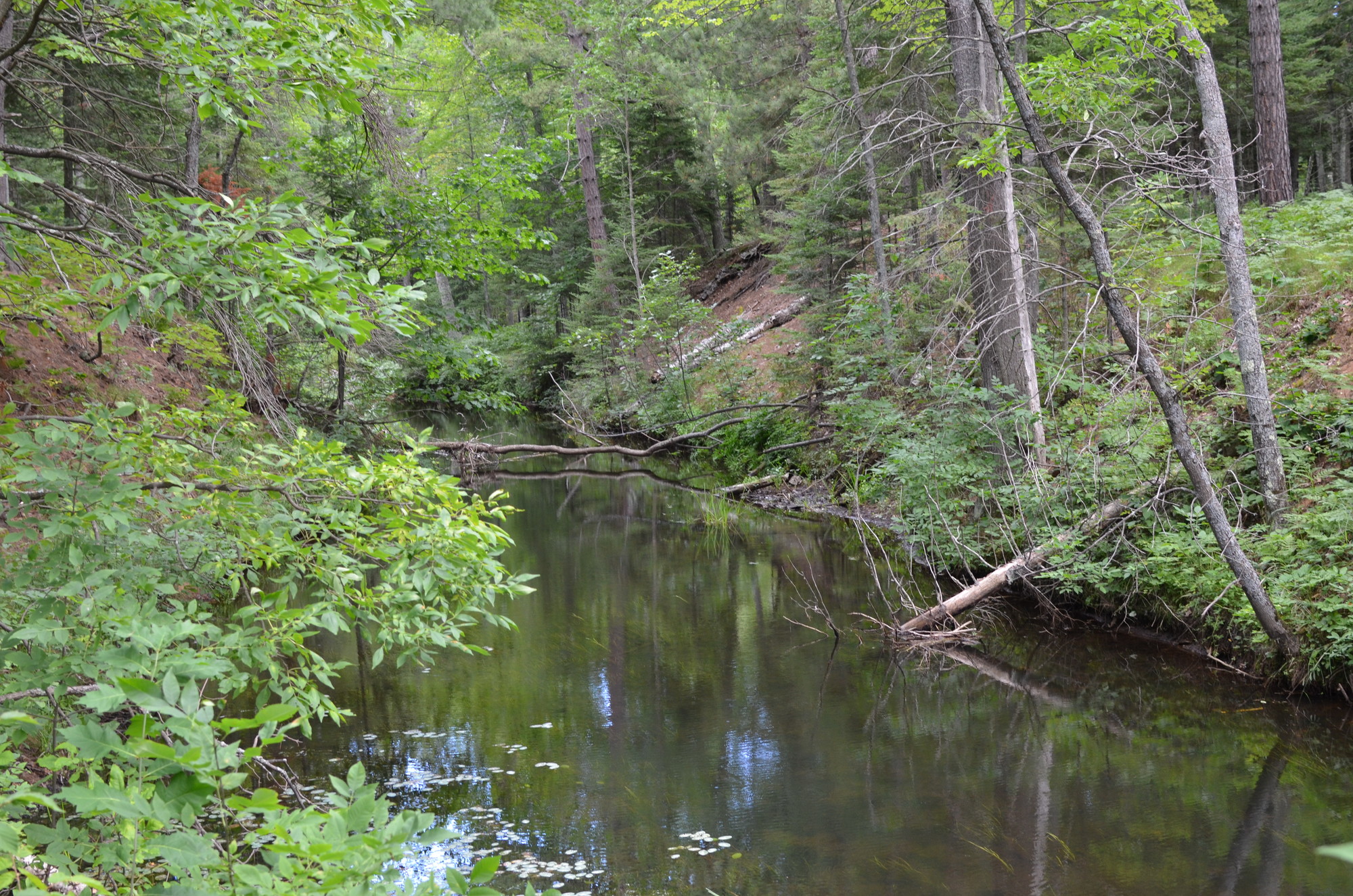 Harlow Creek is a popular feature within the Little Presque Isle Tract in Marquette County.
