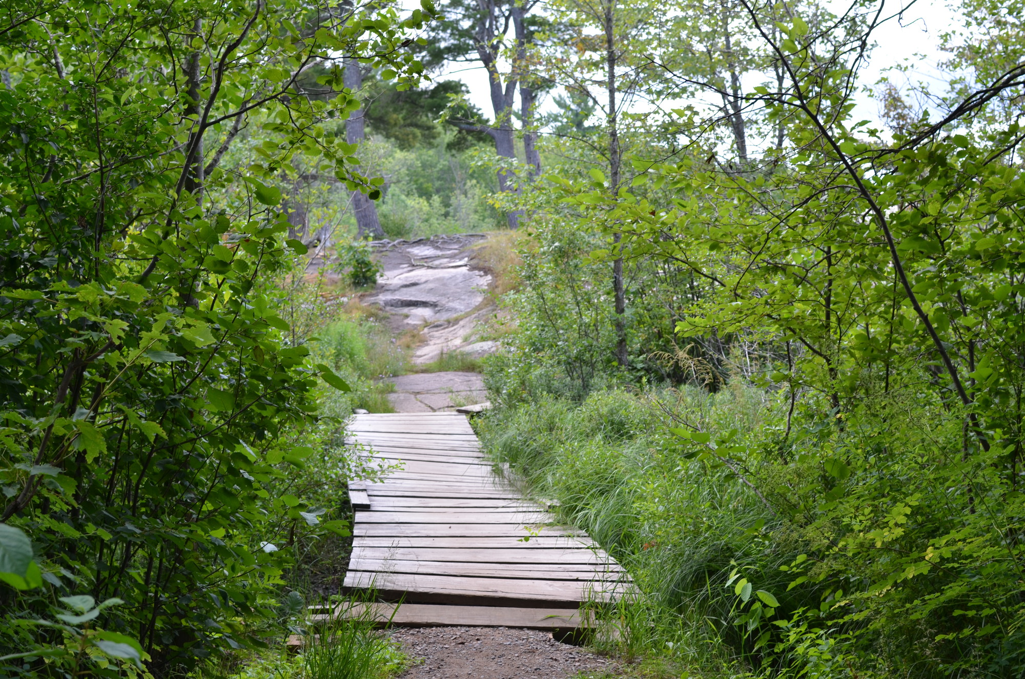 Little Presque Isle offers numerous non-motorized trails for hiking.