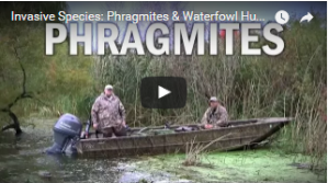 Video still, showing two waterfowl hunters in a boat