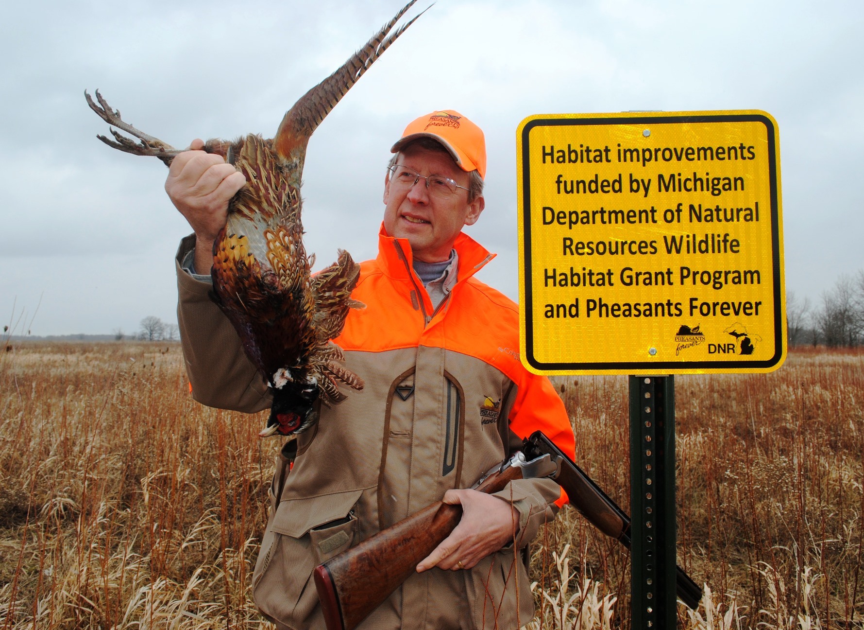 Bill Vander Zouwen, Michigan Region representative for Pheasants Forever, looks at a male pheasant he shot in a pheasant habitat improvement area.