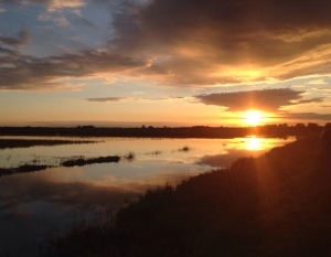 Sunset over Nayanquing Point State Wildlife Area