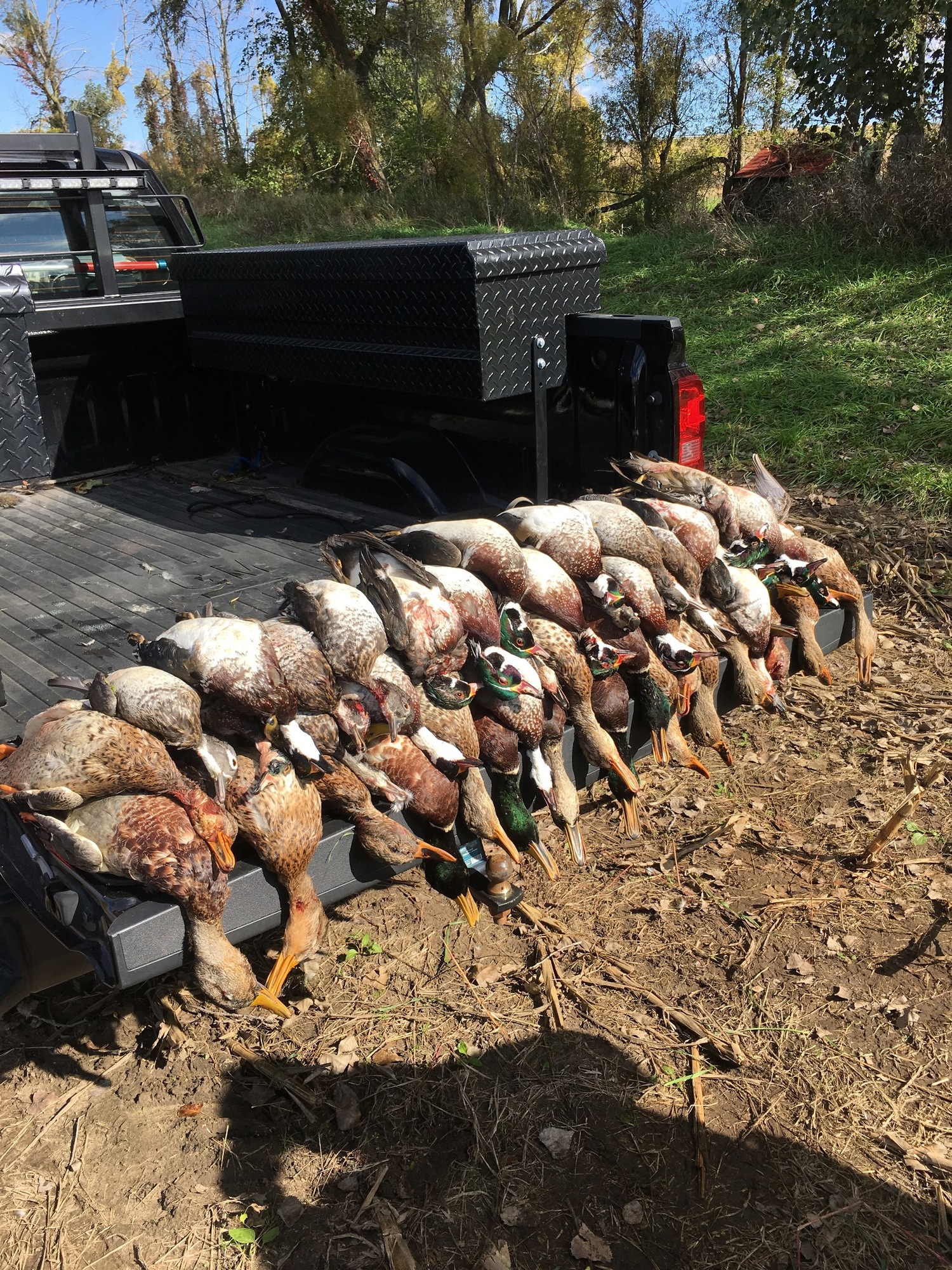 Nearly 60 mallards and wood ducks were shot during last weekend’s duck opener in Ottawa County. Four men from that area were ticketed.