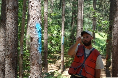 DNR forester using prism to identify how many trees are in an area in the forest. 