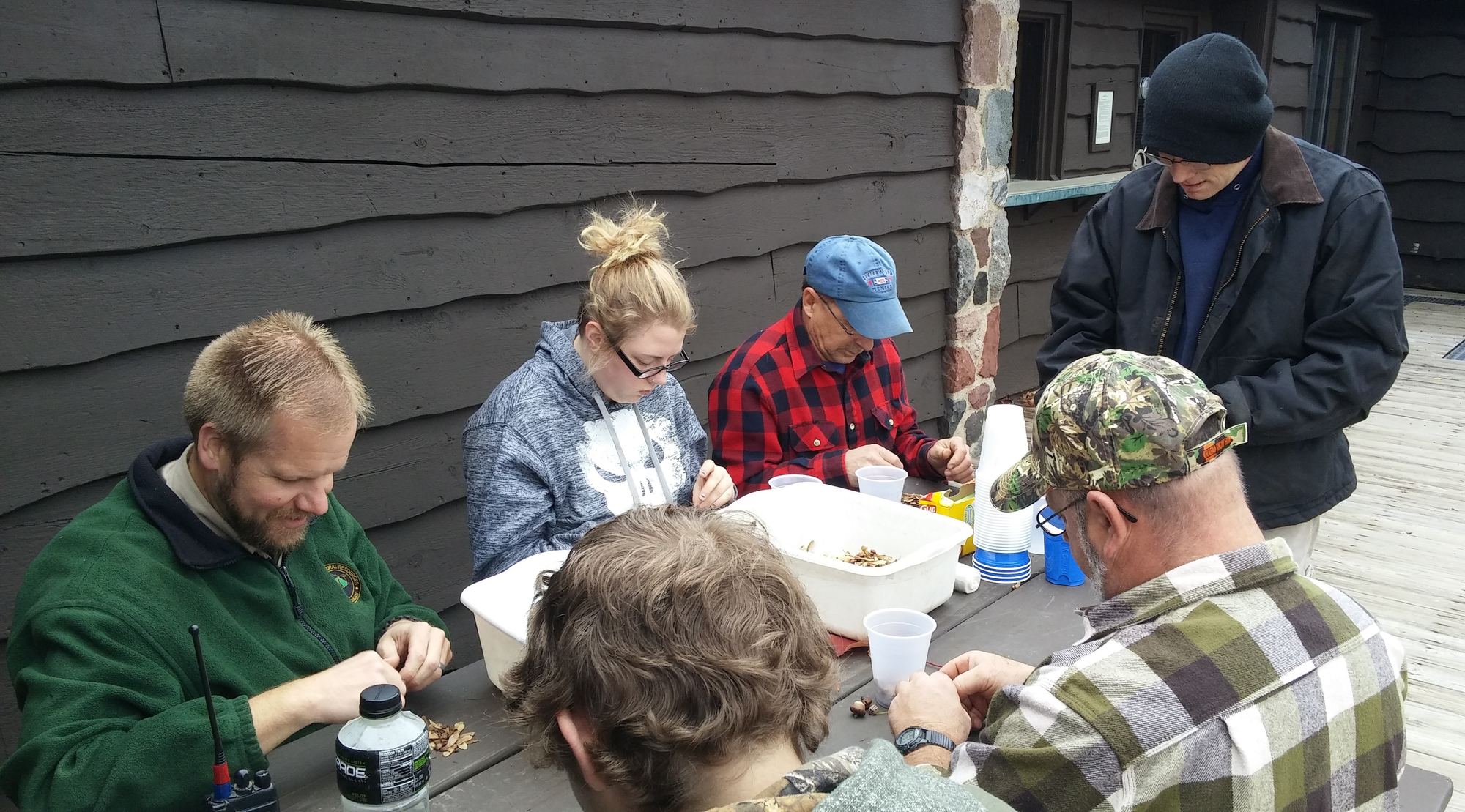 Volunteers work to prepare collected maple seeds and oak acorns for planting.