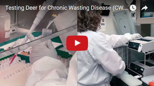 Click here to watch a video on CWD testing