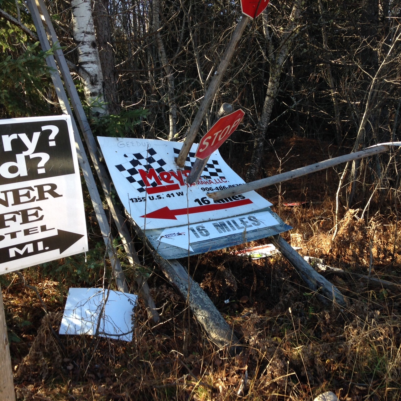 Numerous signs were vandalized recently along two snowmobile trails in western Marquette County.