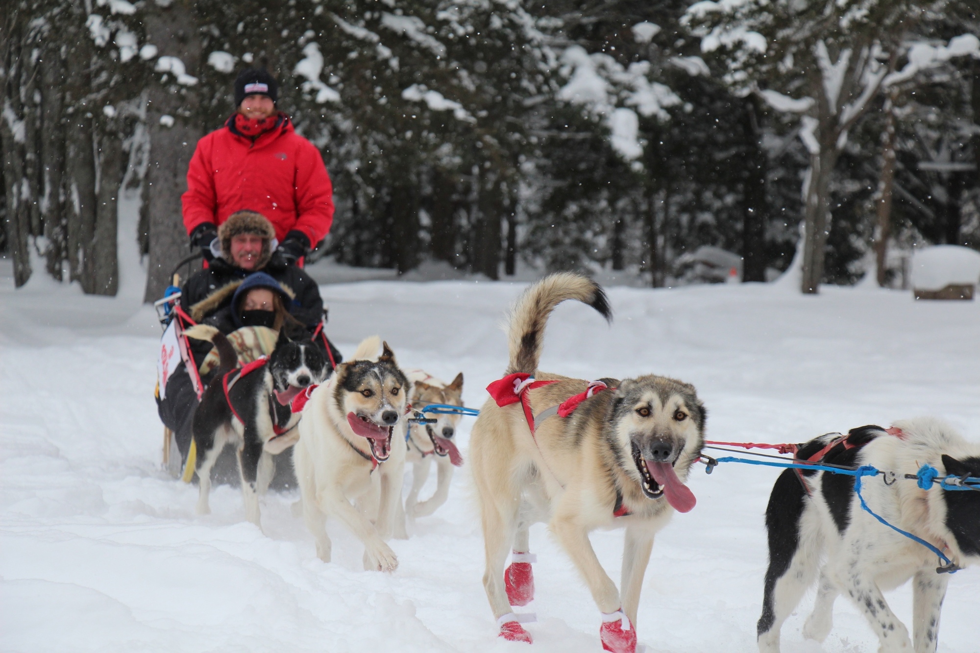 Dog sled riding will be among the quiet recreation activities to be provided at the Lower Falls at Tahquamenon Falls State Park beginning this winter.