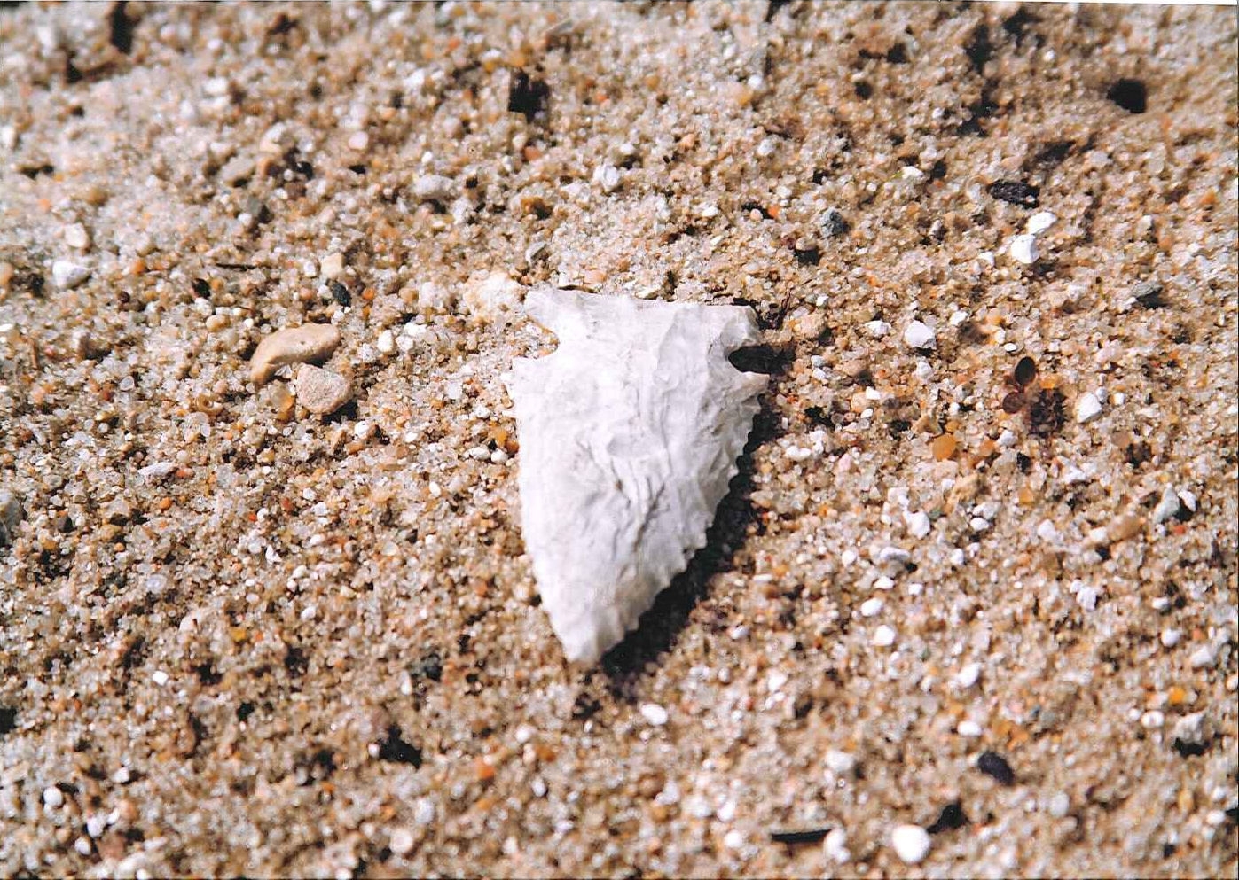 A Meadowood projectile point found on the Gitcha-ninj Nebish Forest in Charlevoix County shows the historic and cultural importance of the area.