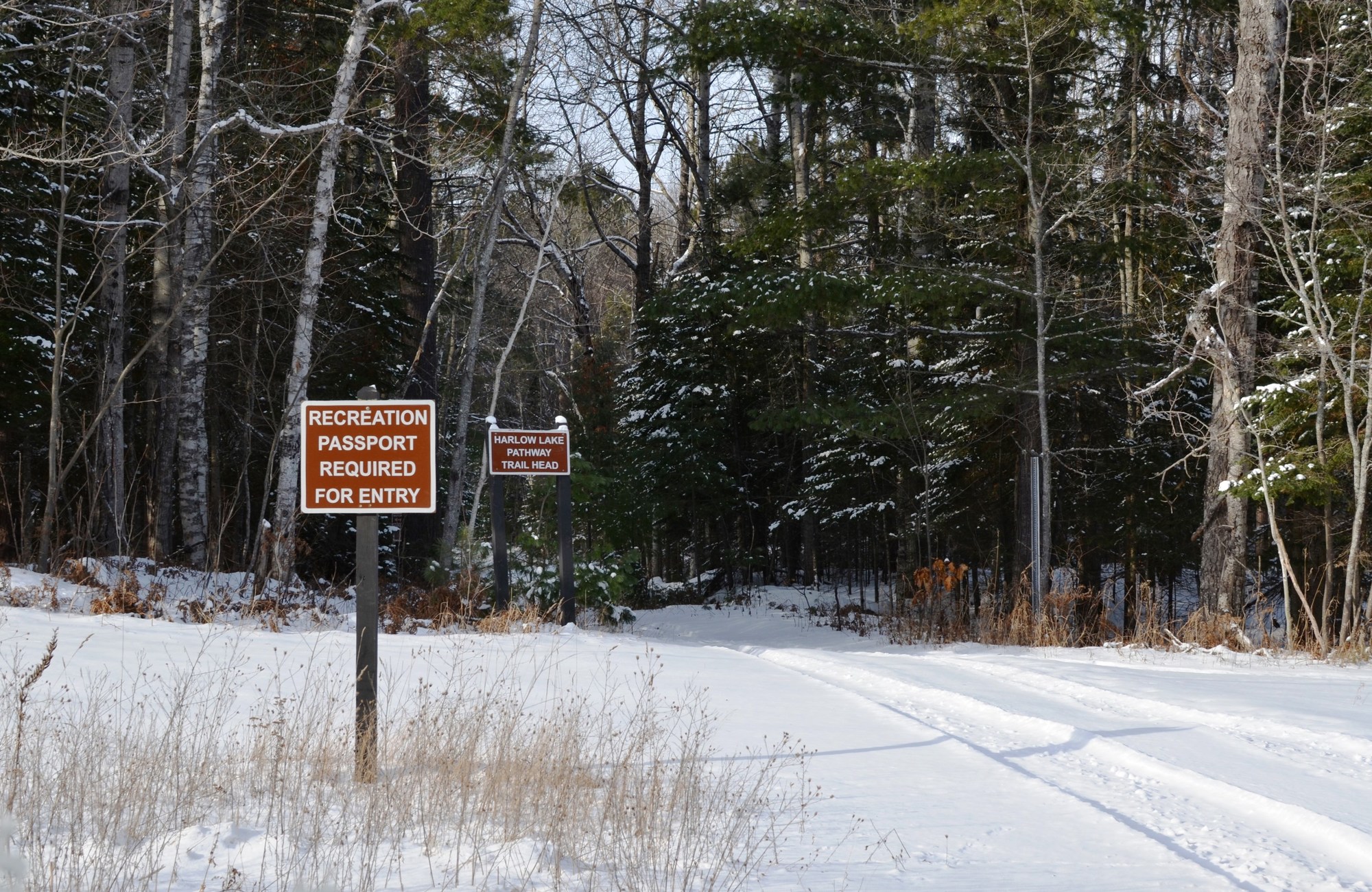 Road access to the Harlow Creek Pathway Trailhead at Little Presque Isle.
