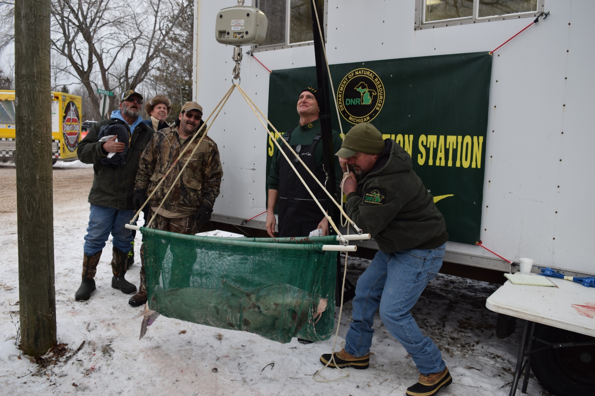 DNR sturgeon researcher Ed Baker reads the weight, as DNR fisheries biologist Tim Cwalinski hoists a sturgeon on the scale.